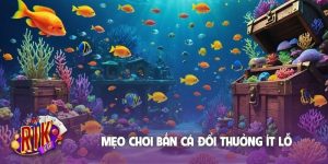mẹo chơi bắn cá đổi thưởng ít lỗ